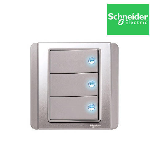 Schneider Electric Switches