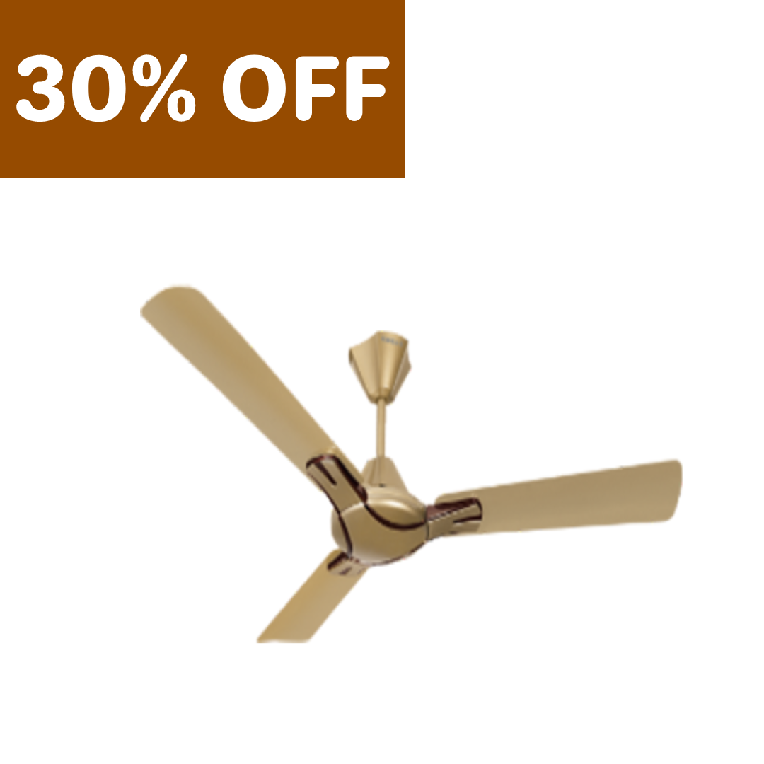 Buy Best Havells Decorative Ceiling Fans at Latest Price in India 2023